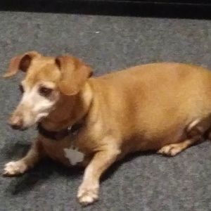 Meet your Posher, Azalia-sally